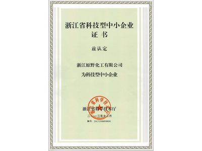 Certificate of Small and mid-sized technical enterprise of Zhejiang province